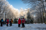 Zväčšiť fotografiu - V lesoch nad cigľom pochodovala vyše dve tisícka turistov - TSK_Pochod Cigeľ_mini-30